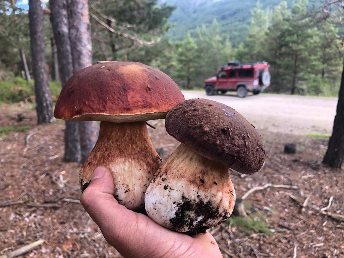 Refugios Del Valle Negro Campillo de Ranas Zewnętrze zdjęcie