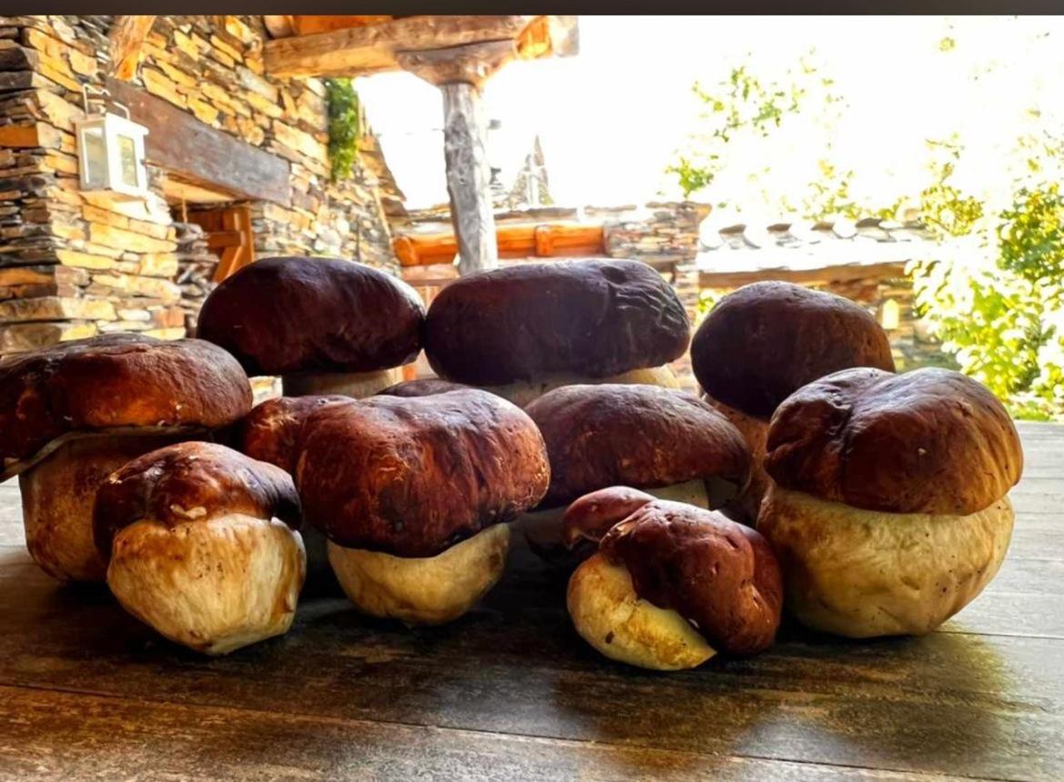 Refugios Del Valle Negro Campillo de Ranas Zewnętrze zdjęcie