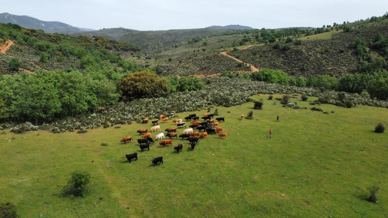 Refugios Del Valle Negro Campillo de Ranas Zewnętrze zdjęcie